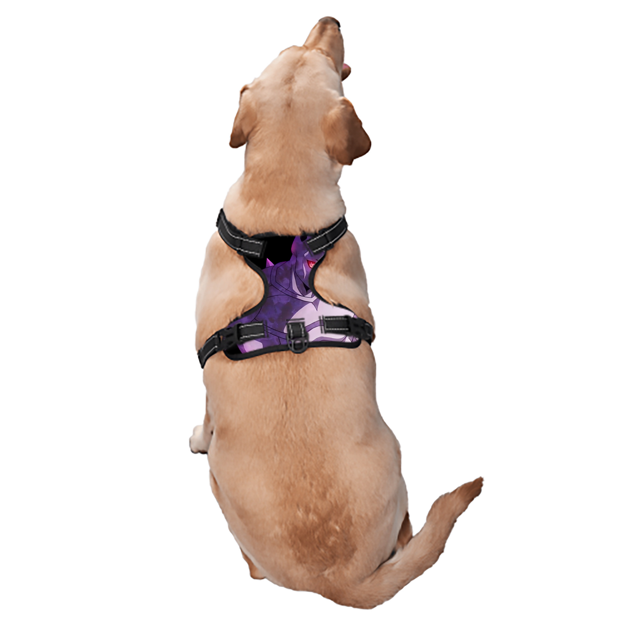 （画像用） ジョジョの奇妙な冒険 きら よしかげ JoJo's Bizarre Adventure Kira Yoshikage ペット用ハーネス